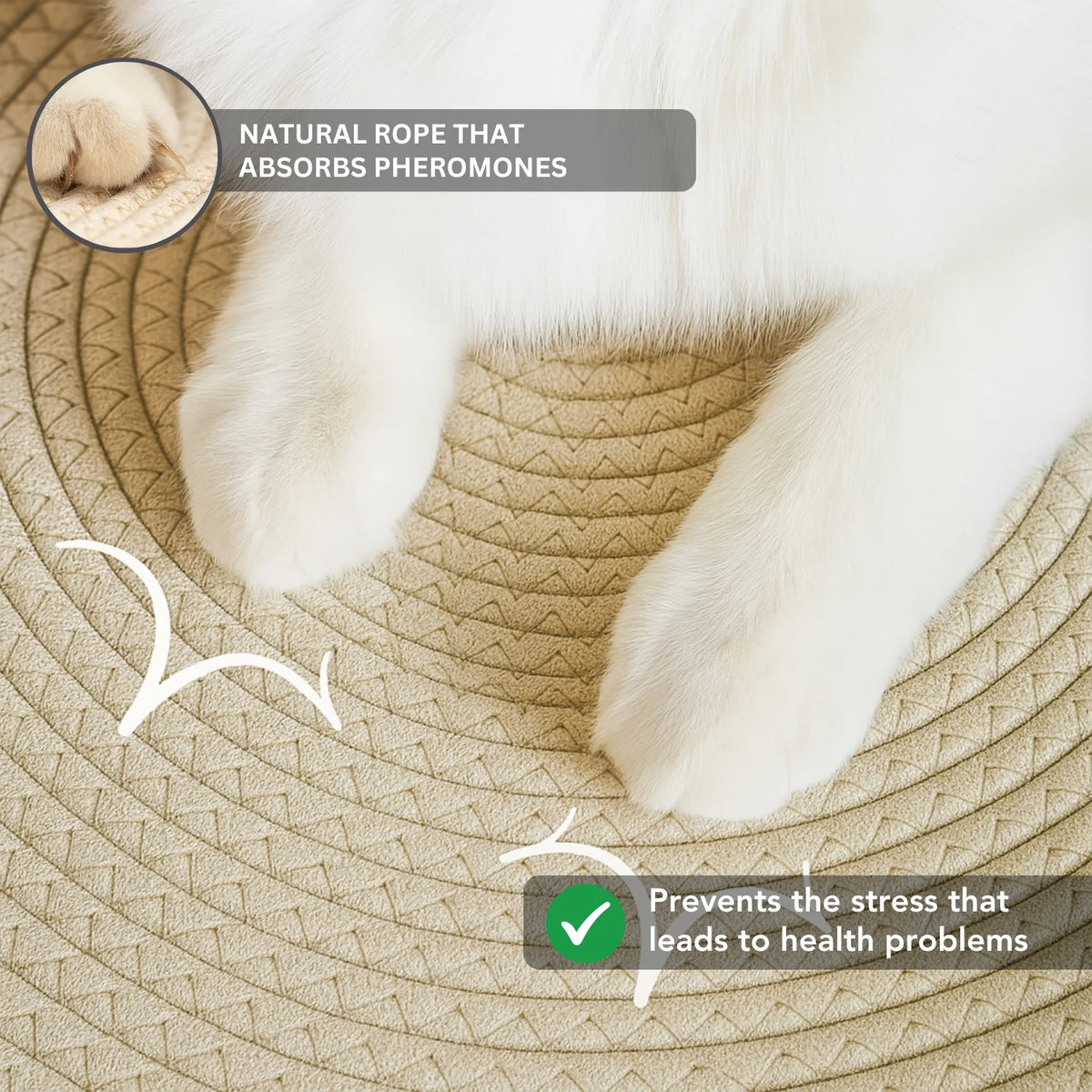 Research-backed natural territory Basket for indoor cats
