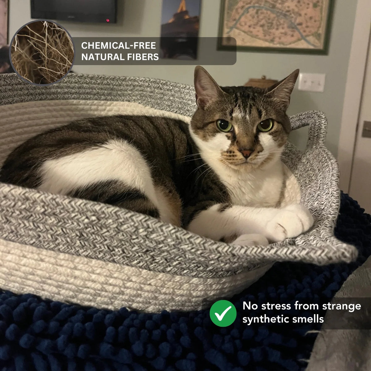 Research-backed natural territory Basket for indoor cats