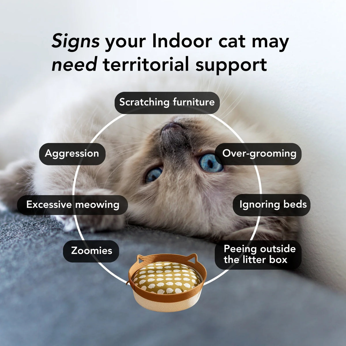 Research-backed natural territory Basket for indoor cats