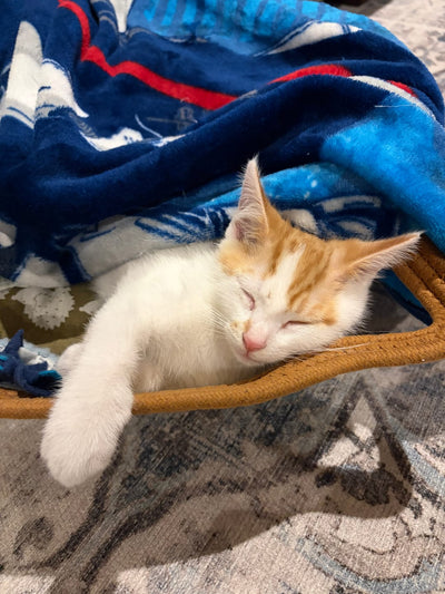 Customer photo